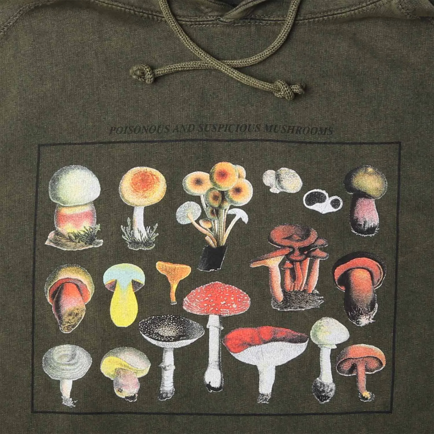 Mushroom Species Relaxed Fit Hoodie Sweatshirt